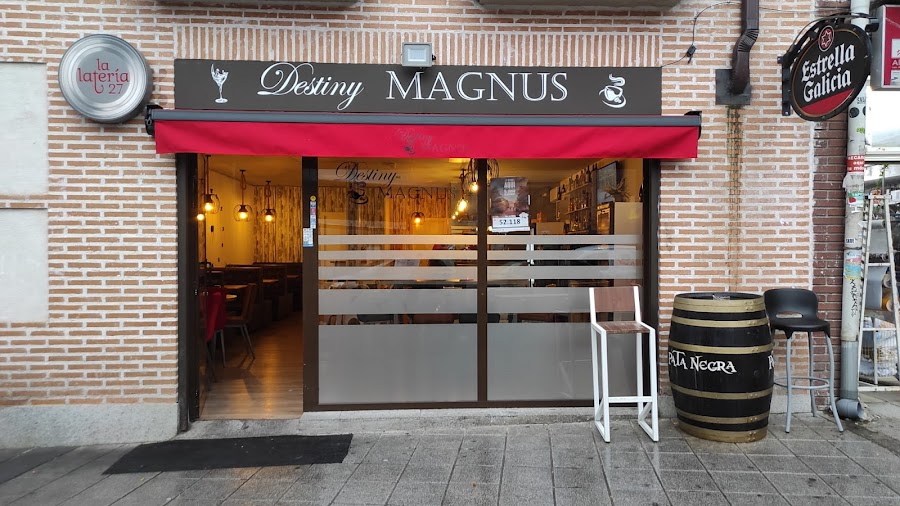 Destiny Magnus