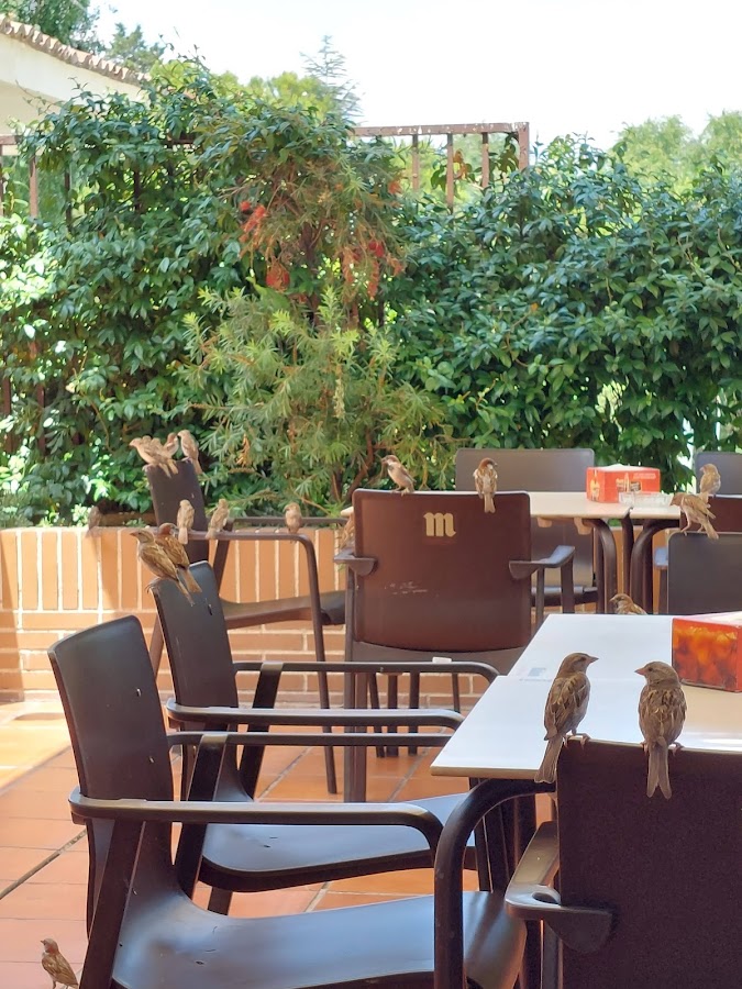 El Paular bar