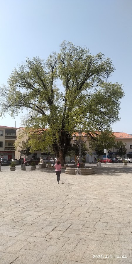 La Olma