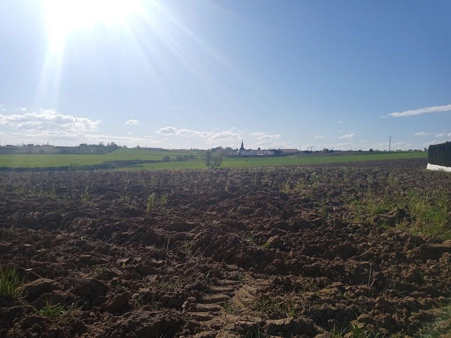 Torrejón de Velasco fútbol