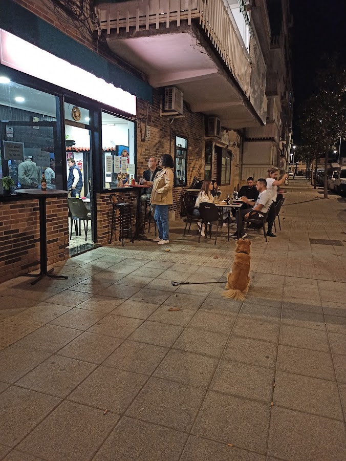 Bar Steffy
