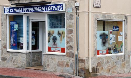 Clínica Veterinaria Loeches